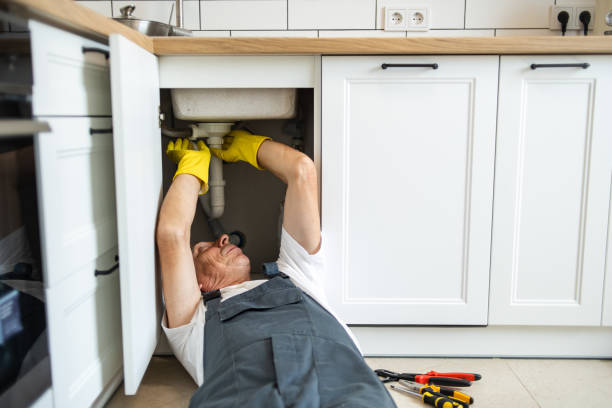 Best Local Plumber Services  in Inver Grove Heights, MN