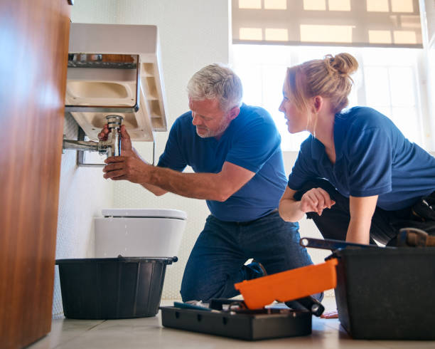 Best Sprinkler Systems  in Inver Grove Heights, MN